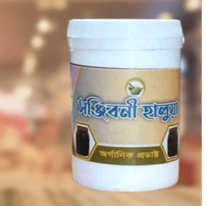 সঞ্জীবনী হালুয়া আলয়া